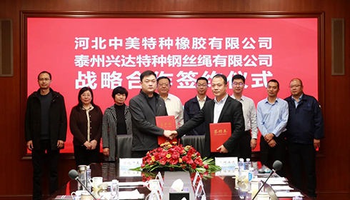 河北衡水市政企代表團(tuán)蒞臨興達(dá)考察，興達(dá)&中美達(dá)成戰(zhàn)略合作！